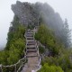 世界排球联赛青年才俊榜单正式发出，世界排球联赛男子